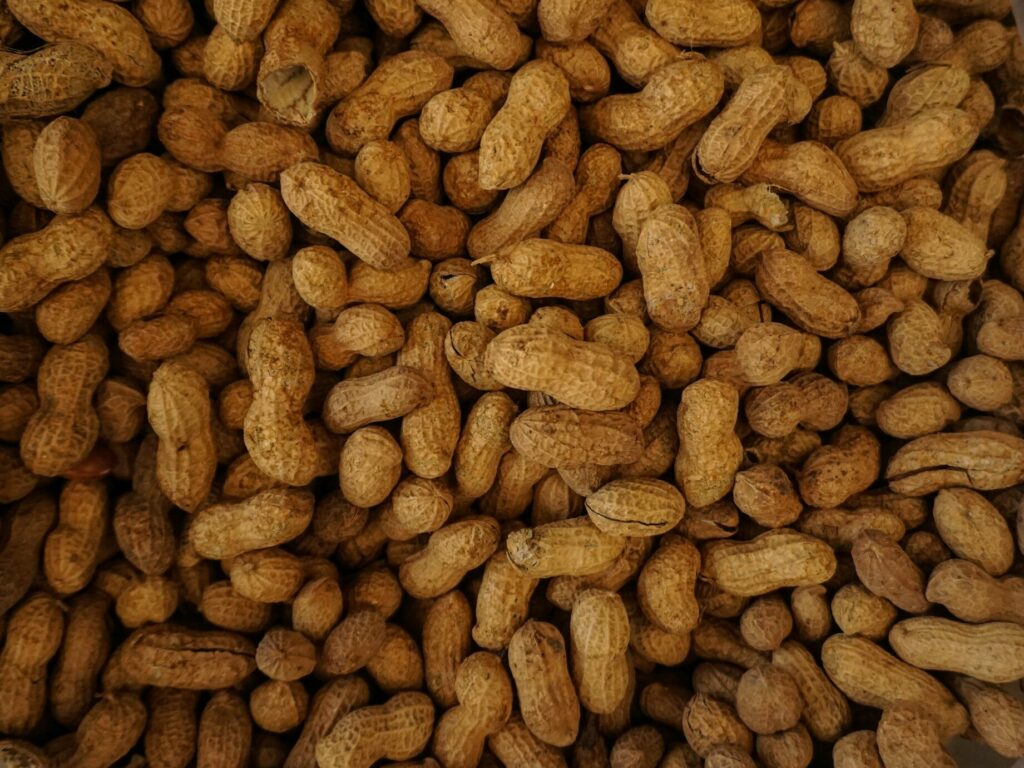 Protein from Peanuts