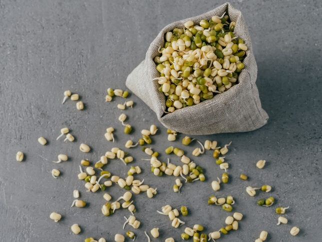 Moong Dal Sprouts
